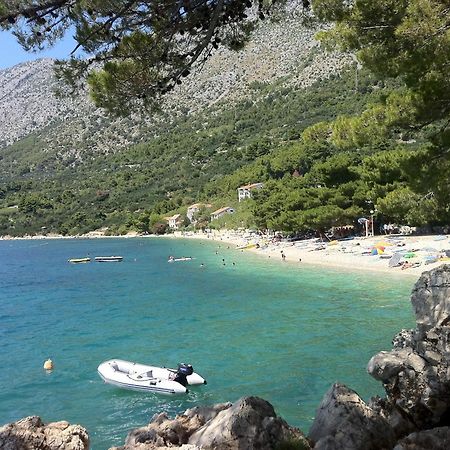 Apartments Vile Holiday Živogošće Exteriör bild