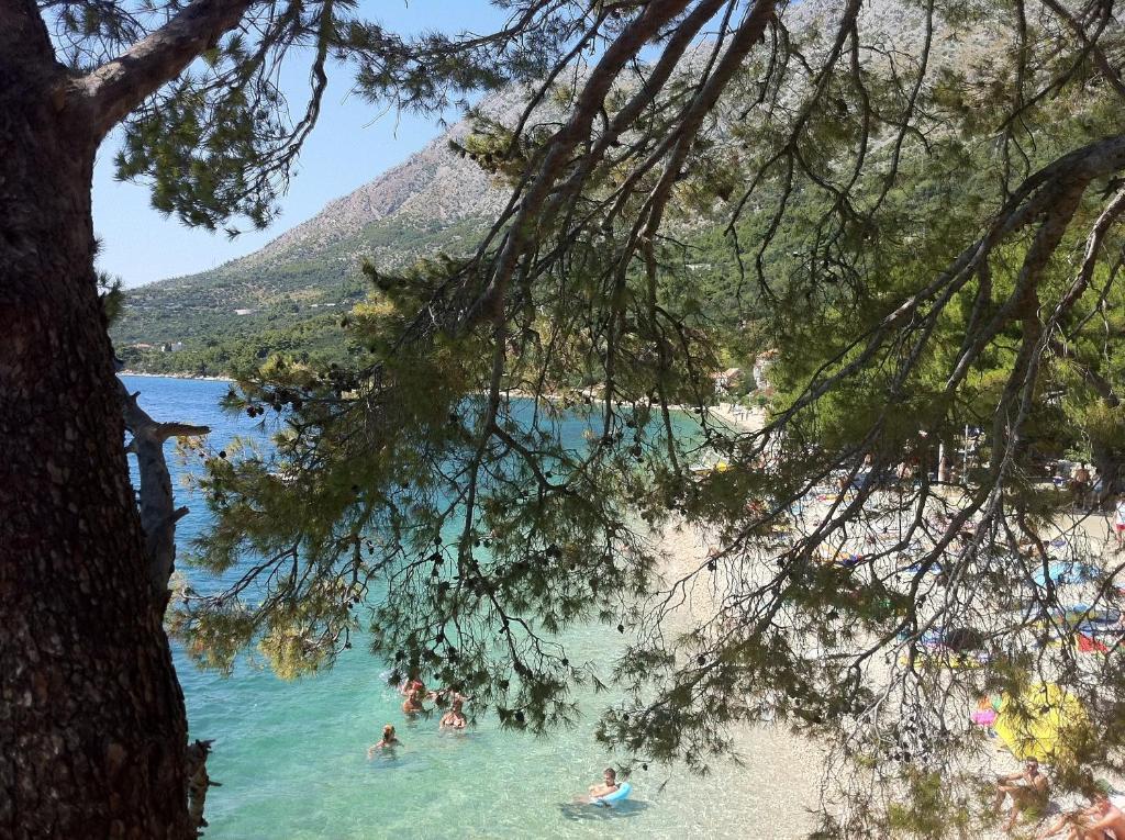 Apartments Vile Holiday Živogošće Exteriör bild