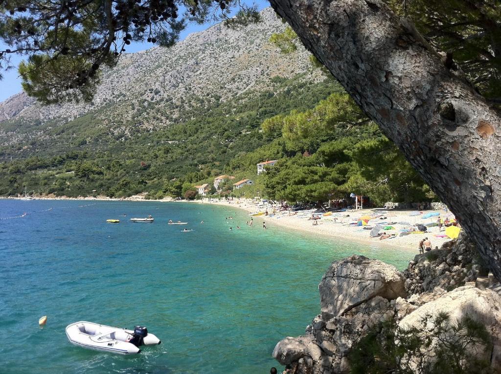 Apartments Vile Holiday Živogošće Exteriör bild